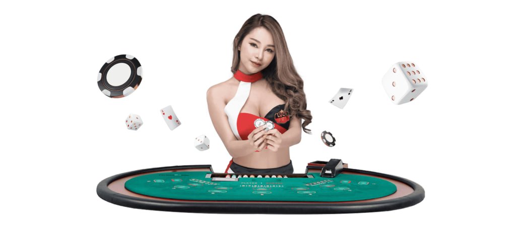ck555